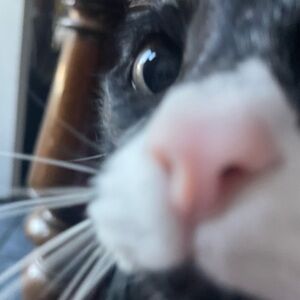Meet your Posher, Colby